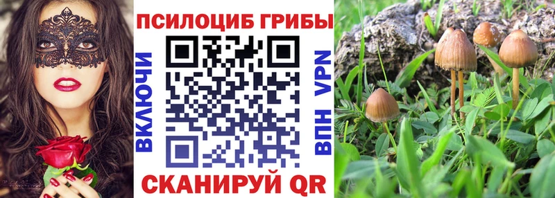 Галлюциногенные грибы Cubensis  дарнет шоп  shop наркотические препараты  Зеленогорск 