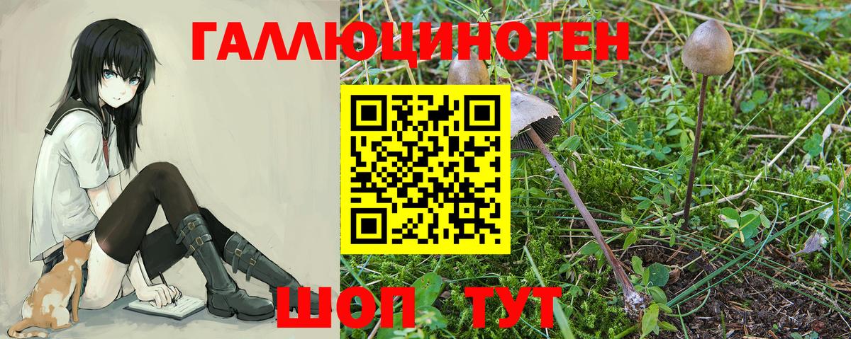 Галлюциногенные грибы мухоморы  Вход с VPN  закладка  Зеленогорск 