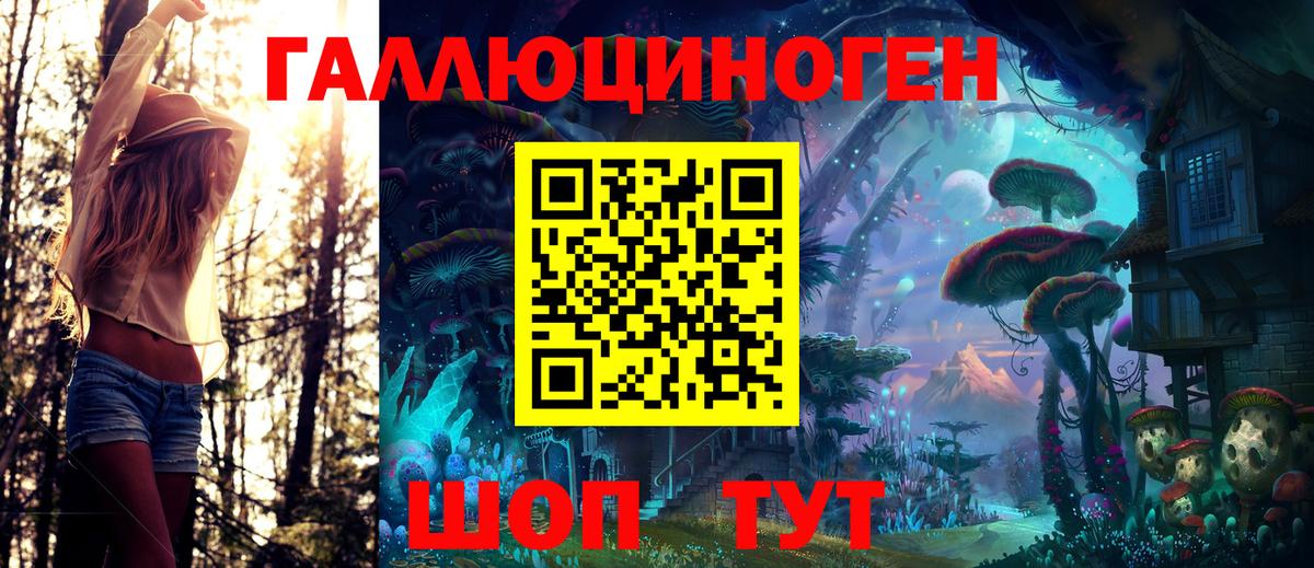 купить наркотик  Зеленогорск  Псилоцибиновые грибы GOLDEN TEACHER 