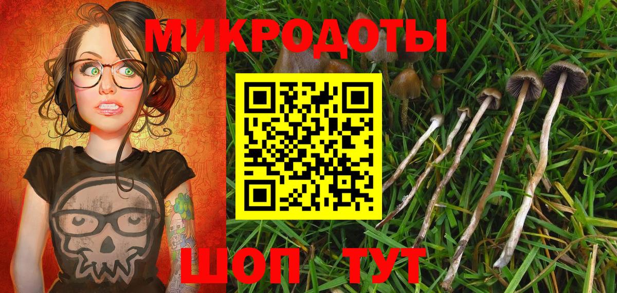 Псилоцибиновые грибы Cubensis Зеленогорск